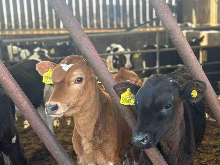 Tosside Fold Farm